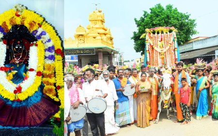 "ಹೊಳಲು ಗ್ರಾಮದಲ್ಲಿ ವಿಜೃಂಭಣೆಯಿಂದ ನಡೆದ ಶ್ರೀ ಪಾರ್ವತಮ್ಮ ತಾಯಿ ಹಬ್ಬ"