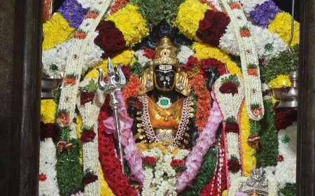 ವೈಭವವಾಗಿ ನಡೆದ ಶ್ರೀ ನಿಮಿಷಾಂಬದೇವಿ ಜಯಂತ್ಯೋತ್ಸವ