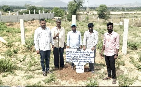 ಒತ್ತುವರಿ ತೆರವು ಕಾರ್ಯಾಚರಣೆ-ಸರ್ಕಾರಿ ಜಾಗವನ್ನು ವಶಕ್ಕೆ ಪಡೆದ ಕಂದಾಯ ಇಲಾಖೆ