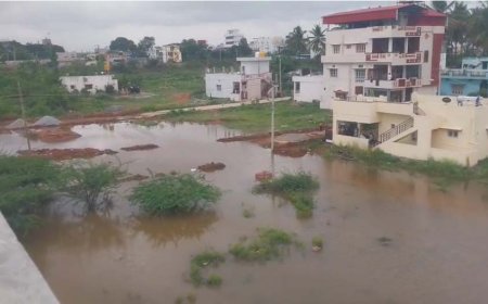 ಹಾಸನ ರಸ್ತೆ ಎಡ ಭಾಗ ದಲ್ಲಿರುವ ಮನೆಗಳ ಮುಂದೆ ಕೆರೆಯಂತೆ ಆಗಿದೆ