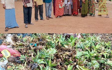 ಕೊರ್ಲಕುಂಟೆ ಕೆರೆ ಕಟ್ಟೆ  ತ್ಯಾಜ್ಯತಾಣ-ಆಶ್ರಯ ಬಡಾವಣೆ ನಿವಾಸಿಗಳು ಓಡಾಡಲು ನರಕಯಾತನೆ