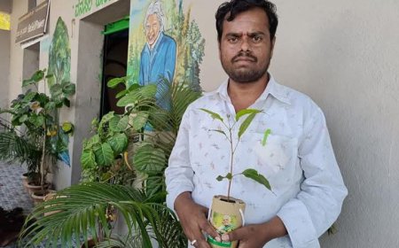 ವಿಶ್ವ ಪರಿಸರ ದಿನಾಚರಣೆ ಅಂಗವಾಗಿ ವನಸಿರಿ ಪೌಂಡೇಷನ್ ವತಿಯಿಂದ ಉಚಿತವಾಗಿ 5 ಸಾವಿರ ಸಸಿಗಳ ವಿತರಣೆ: ಚನ್ನಪ್ಪ ಕೆ.ಹೊಸಹಳ್ಳಿ