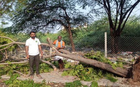 ಮಳೆಗಾಲದಲ್ಲಿ ಗಿಡಮರಗಳ ಕೆಳಗಡೆ ವಾಹನಗಳನ್ನು ನಿಲ್ಲಿಸಬೇಡಿ: ಅಮರೇಗೌಡ ಮಲ್ಲಾಪುರ ಮನವಿ