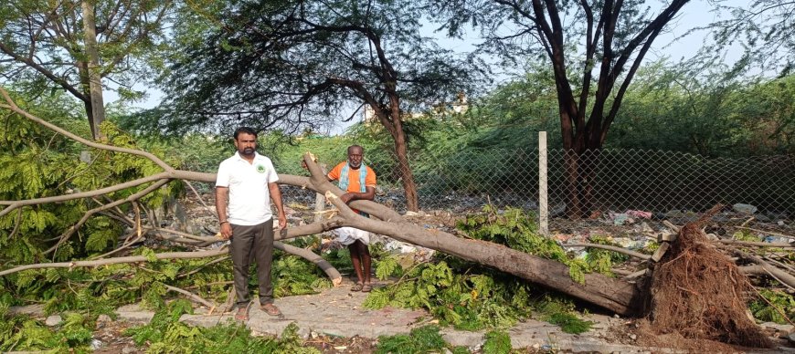 ಮಳೆಗಾಲದಲ್ಲಿ ಗಿಡಮರಗಳ ಕೆಳಗಡೆ ವಾಹನಗಳನ್ನು ನಿಲ್ಲಿಸಬೇಡಿ: ಅಮರೇಗೌಡ ಮಲ್ಲಾಪುರ ಮನವಿ