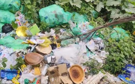 ರಸ್ತೆ ಬದಿಯಲ್ಲಿ ಮೆಡಿಕಲ್ ಮತ್ತು ಕ್ಲೀನಿಕ್, ಲ್ಯಾಬೊರೇಟೊರಿ ತ್ಯಾಜ್ಯಗಳು ಆಕ್ರೋಷ ವೈಕ್ತಪಡಿಸಿದ ಗ್ರಾಮಸ್ಥರು