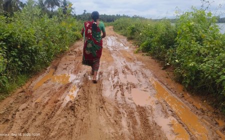 ಕೆಸರು ಗದ್ದೆಯಂತಾದ ಕಿಕ್ಕೇರಿ ಅಮಾನಿ ಕೆರೆ ಏರಿ ದುರಸ್ತಿ ಪಡಿಸಿಸುವಂತೆ  ಸಾರ್ವಜನಿಕರಿಂದ ಹಿಡಿ ಶಾಪ