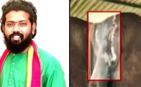 ದಸರಾ ಆನೆ ಬಾಲಣ್ಣನ ಕಿವಿ ಕೊಳೆತ:ತಪ್ಪಿತಸ್ಥರ ವಜಾ ಮಾಡಲು ತೇಜಸ್ವಿ ಆಗ್ರಹ