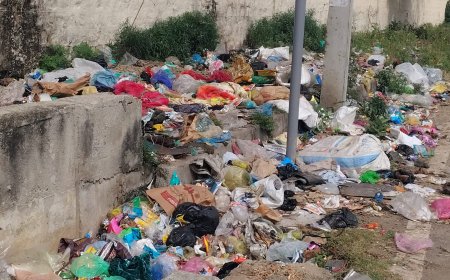 ನಗರದ 30ನೇ ವಾರ್ಡ್ ಗೌತಮ್ ನಗರದಲ್ಲಿರುವ ರಾಜಕಾಲುವೆಯಲ್ಲಿ ಕಸ ತುಂಬಿ ತುಳುಕುತಿದೆ ಈ ಬಗೆ ಕೇಳುವವರಿಲ್ಲ ಸ್ವಚ್ಛತೆ ಹಾಗೂ ನೈಮಲ್ಯವಿಲ್ಲದೆ ರೋಗಭೀತಿ ಎದುರಾಗಿದೆ ಎಂದು ಸಾರ್ವಜನಿಕರು ಅಕ್ರೋಶ ವ್ಯಕ್ತಪಡಿಸುತ್ತಿದ್ದಾರೆ