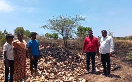 ಮೆಕ್ಕೆಜೋಳ ಬಣವೆಗೆ ಆಕಸ್ಮಿಕ ಬೆಂಕಿ-70 ಕ್ವೀoಟಲ್ ಜೋಳ ಭಸ್ಮ