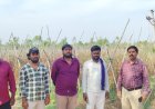 ಕೋಟ್ಯಾಂತರ ರೂ ಮೌಲ್ಯದ ಸರ್ಕಾರಿ ಜಾಗ ಒತ್ತುವರಿ ಆರೋಪ: ಸ್ಥಳಕ್ಕೆ ಭೇಟಿ ನೀಡಿದ ಕಂದಾಯ ಅಧಿಕಾರಗಳು