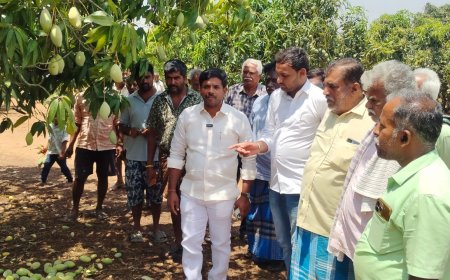 ಬಿರುಗಾಳಿ ಸಹಿತ ಮಳೆಗೆ ನೆಲಕ್ಕುರುಳಿದ ಮಾವು ಹಾಗೂ ಬಾಳೆ ತೋಟ ಬಾಳೆ ತೋಟ ನಾಶ ರೈತ ಮುನಿಯಪ್ಪನಿಗೆ 1 ಲಕ್ಷ ಪರಿಹಾರ ಘೋಷಿಸಿದ ಸಮಾಜ ಸೇವಕ ಮೋಹನ್ ಕೃಷ್ಣ 