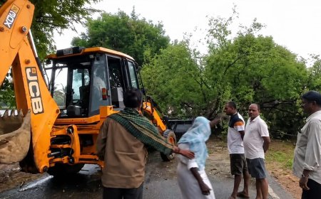 ಗಾಳಿ ಮಳೆಗೆ ರಸ್ತೆಗೆ ಉರುಳಿದ ಬೃಹತ್ ಮರ-ತೆರವು ಕಾರ್ಯಕ್ಕೆ ಮುಂದಾದ–ಯುವ ಮುಖಂಡ ಕೆ.ವಿ.ಪ್ರಶಾಂತ್