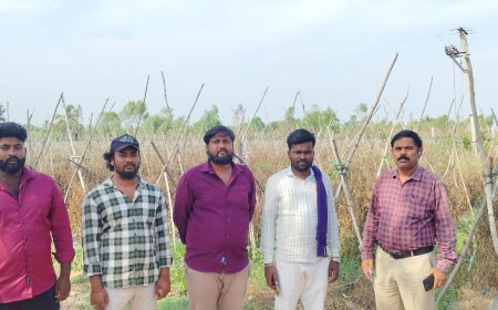 ಕೋಟ್ಯಾಂತರ ರೂ ಮೌಲ್ಯದ ಸರ್ಕಾರಿ ಜಾಗ ಒತ್ತುವರಿ ಆರೋಪ: ಸ್ಥಳಕ್ಕೆ ಭೇಟಿ ನೀಡಿದ ಕಂದಾಯ ಅಧಿಕಾರಗಳು