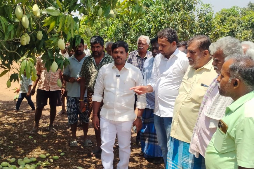 ಬಿರುಗಾಳಿ ಸಹಿತ ಮಳೆಗೆ ನೆಲಕ್ಕುರುಳಿದ ಮಾವು ಹಾಗೂ ಬಾಳೆ ತೋಟ ಬಾಳೆ ತೋಟ ನಾಶ ರೈತ ಮುನಿಯಪ್ಪನಿಗೆ 1 ಲಕ್ಷ ಪರಿಹಾರ ಘೋಷಿಸಿದ ಸಮಾಜ ಸೇವಕ ಮೋಹನ್ ಕೃಷ್ಣ 