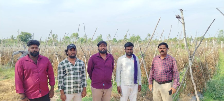 ಕೋಟ್ಯಾಂತರ ರೂ ಮೌಲ್ಯದ ಸರ್ಕಾರಿ ಜಾಗ ಒತ್ತುವರಿ ಆರೋಪ: ಸ್ಥಳಕ್ಕೆ ಭೇಟಿ ನೀಡಿದ ಕಂದಾಯ ಅಧಿಕಾರಗಳು
