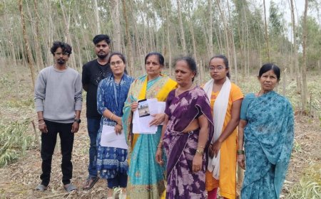 ನ್ಯಾಯಾಲಯದ ತಡಯಾಜ್ಞೆ ಉಲ್ಲಂಘಿಸಿ ನೀಲಗಿರಿ ಮರಗಳ ಕಟಾವು ಆರೋಪ: ಪೊಲೀಸರ ವಿರುದ್ಧವು ಅಸಮಾಧಾನ 