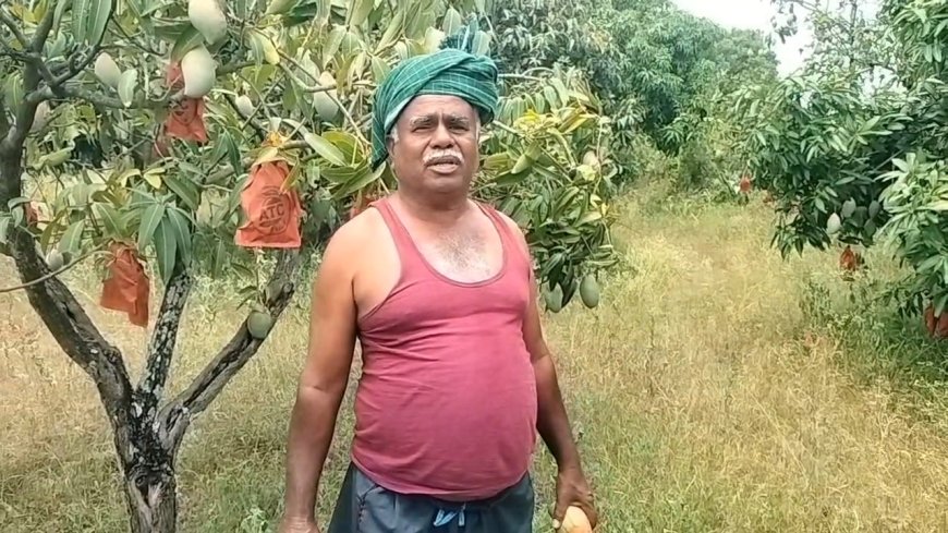 ನಿಕ್ಕರ್ ಹಾಕಿಕೊಳ್ಳುವುದೇ ತಪ್ಪೇ? ಬಿಜೆಪಿ ಮುಖಂಡರ ವಿರುದ್ಧ ರೈತ ಚಂದ್ರಯ್ಯ ಆಕ್ರೋಶ