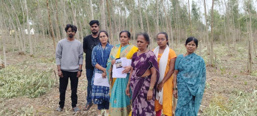 ನ್ಯಾಯಾಲಯದ ತಡಯಾಜ್ಞೆ ಉಲ್ಲಂಘಿಸಿ ನೀಲಗಿರಿ ಮರಗಳ ಕಟಾವು ಆರೋಪ: ಪೊಲೀಸರ ವಿರುದ್ಧವು ಅಸಮಾಧಾನ 