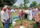 ಬಳುವನಹಳ್ಳಿ ಹಿಂದೂ ರುದ್ರಭೂಮಿಯಲ್ಲಿ 280 ಸಸಿಗಳ ನಾಟಿ