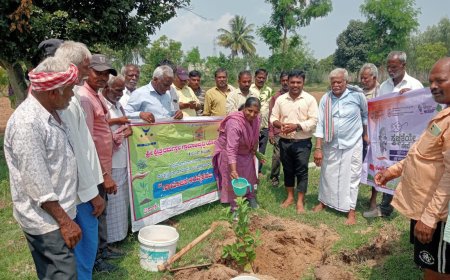 ಬಳುವನಹಳ್ಳಿ ಹಿಂದೂ ರುದ್ರಭೂಮಿಯಲ್ಲಿ 280 ಸಸಿಗಳ ನಾಟಿ
