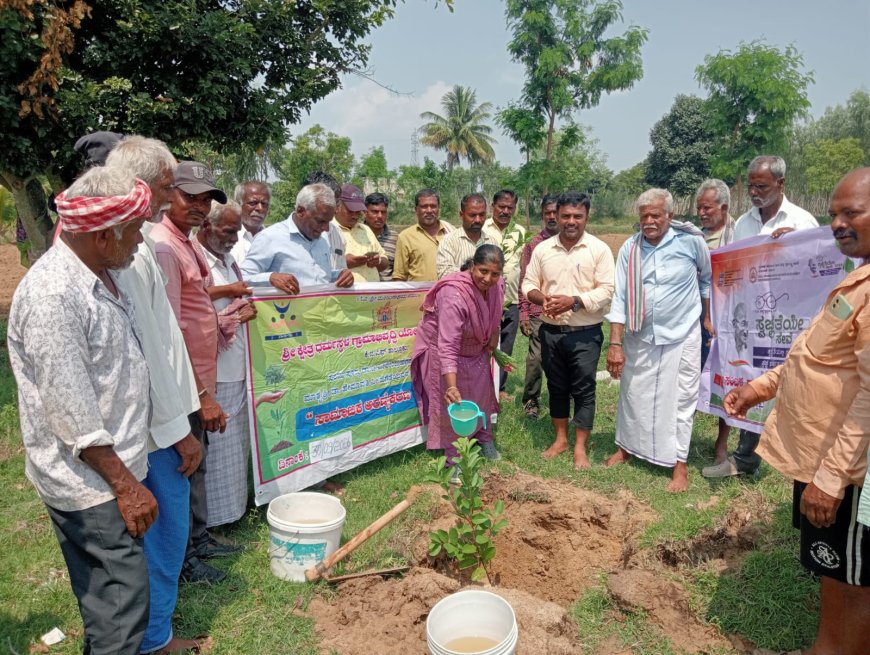 ಬಳುವನಹಳ್ಳಿ ಹಿಂದೂ ರುದ್ರಭೂಮಿಯಲ್ಲಿ 280 ಸಸಿಗಳ ನಾಟಿ